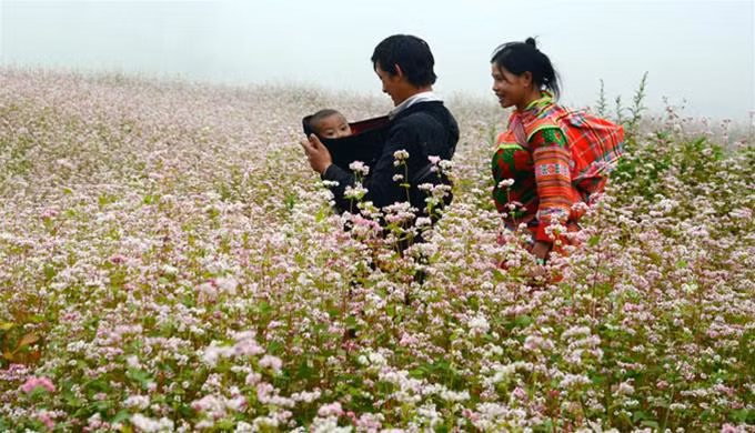 Hạnh phúc nơi rẻo cao.