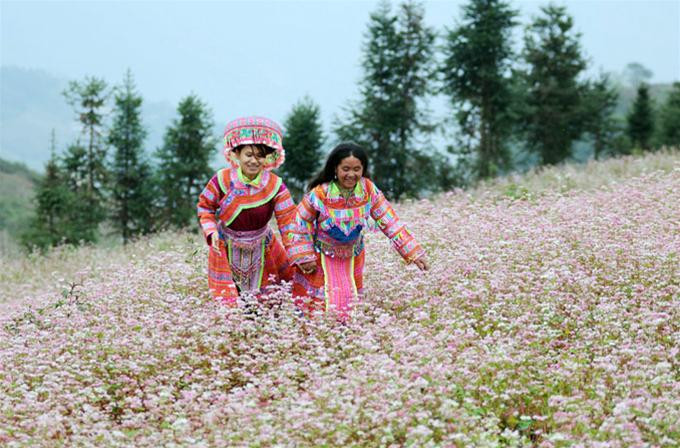 Sắc màu của núi.