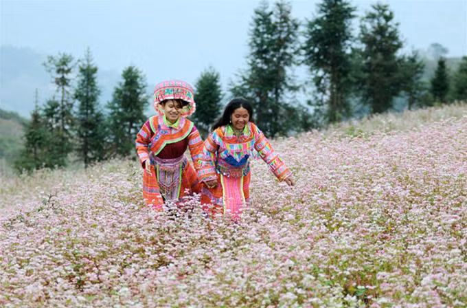 Sắc màu của núi.