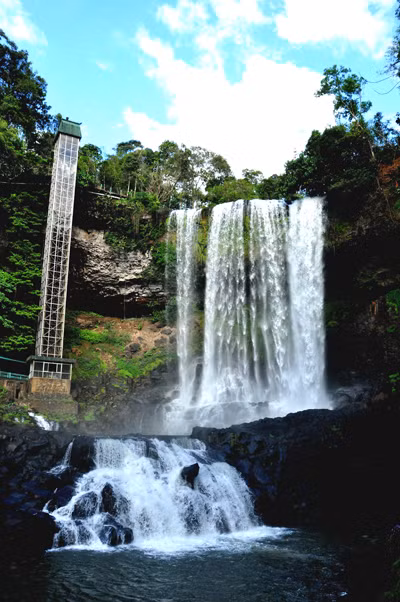 Thác Dambri là một phần của quần thể du lịch sinh thái có tổng diện tích gần 1.000 ha nằm trong khu rừng nguyên sinh vẫn còn giữ vẻ đẹp hoang sơ. Thác Dambri là một phần của quần thể du lịch sinh thái có tổng diện tích gần 1.000 ha nằm trong khu rừng nguyên sinh vẫn còn giữ vẻ đẹp hoang sơ.