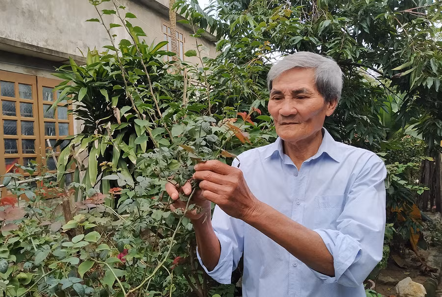  Những giây phút thảnh thơi giữa đời thường của ông Nguyễn Văn Hiến. Ảnh: Ngọc Tấn