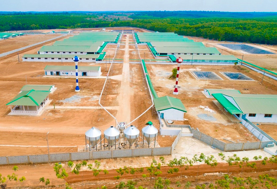 Dự án trang trại chăn nuôi heo thịt Ricky Farm 79 (xã Ia Sol, huyện Phú Thiện) đã hoàn thành 75% khối lượng xây dựng. Ảnh: Hà Duy Dự án trang trại chăn nuôi heo thịt Ricky Farm 79 (xã Ia Sol, huyện Phú Thiện) đã hoàn thành 75% khối lượng xây dựng. Ảnh: Hà Duy