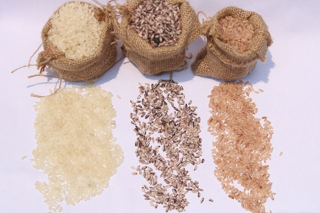 Các loại gạo trắng và gạo màu của Việt Nam - Ảnh: Đinh Đang Các loại gạo trắng và gạo màu của Việt Nam - Ảnh: Đinh Đang