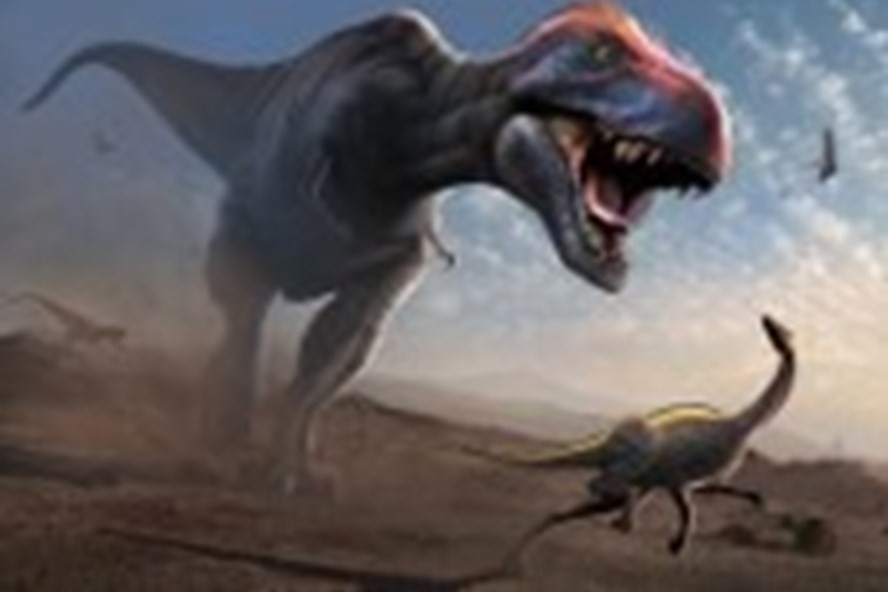 Khủng long bạo chúa (T.Rex) sẽ cúi xuống và đớp lấy con mồi. Ảnh: AFP