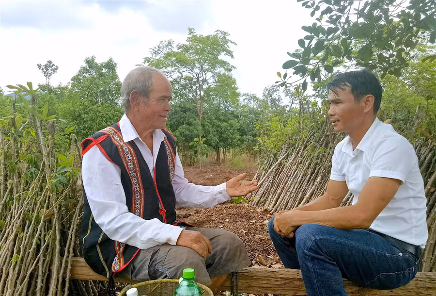 Ông Đinh Hrip (bìa trái; làng Toăk, xã Kon Chiêng, huyện Mang Yang) từng tham gia tuyên truyền, vận động và cùng với dân làng góp gạo nuôi học sinh bán trú. Ảnh: Hồng Thi