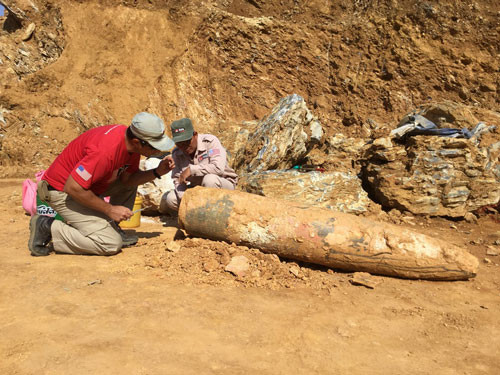 Nhân viên MAG đánh dấu vị trí 2 quả bom bi được phát hiện tại tỉnh Quảng Bình .Ảnh: HOÀNG PHÚC