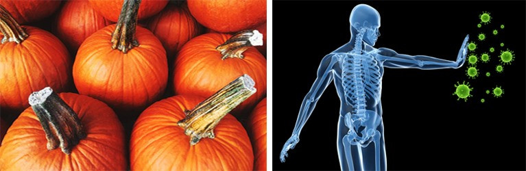 Công dụng của bí ngô giúp tăng cường hệ miễn dịch cho cơ thể. Đồ họa: Hồng Nhật