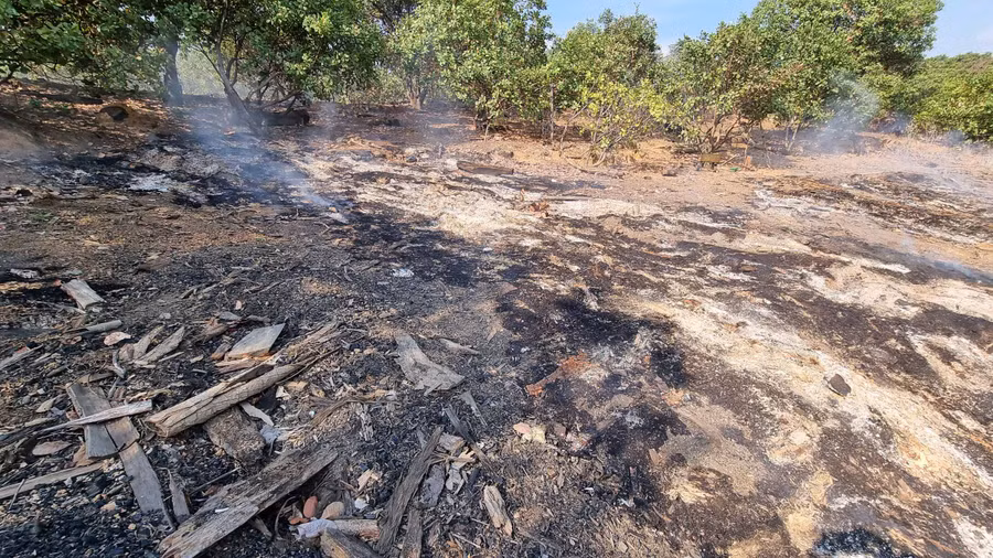 Hiện trường bãi gỗ trên lòng hồ Thủy điện Sê San 4 có nhiều đám cháy, nghi do đốt gỗ phi tang chứng cứ. Ảnh: Hoành Sơn