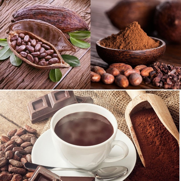 Ca cao có nhiều lợi ích tốt cho sức khỏe của bạn. Ảnh minh họa. Đồ họa: B.C