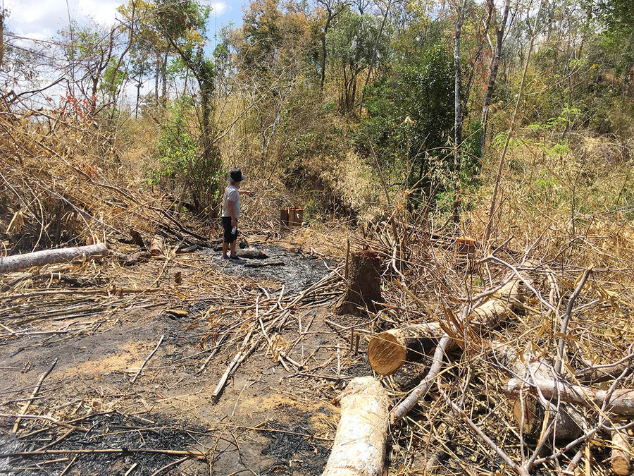 Khu vực rừng giáp ranh giữa huyện Ia Pa và Kông Chro là "điểm nóng" về phá rừng. Ảnh: Quang Tấn Tan nát rừng giáp ranh giữa huyện Ia Pa và Kông Chro