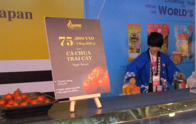 Cà chua giống Nhật Bản có giá nửa triệu đồng một ký