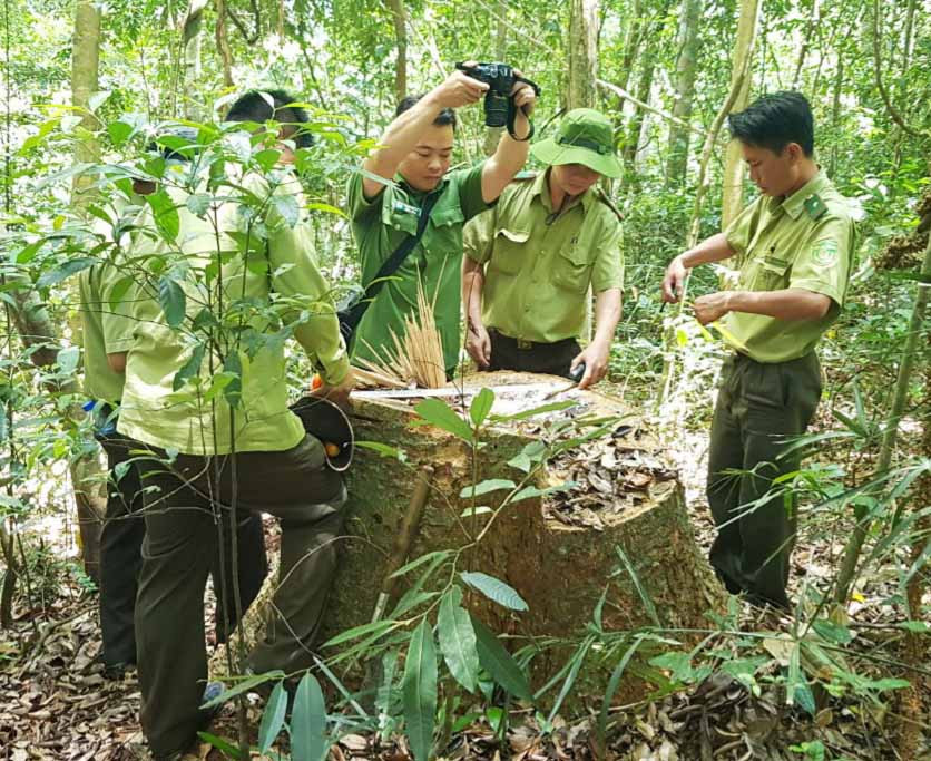 Những ý kiến đánh giá khách quan từ cơ sở giúp ngành Kiểm lâm huyện Kbang đề ra các giải pháp tăng cường công tác quản lý, bảo vệ rừng. Ảnh: Minh Phương