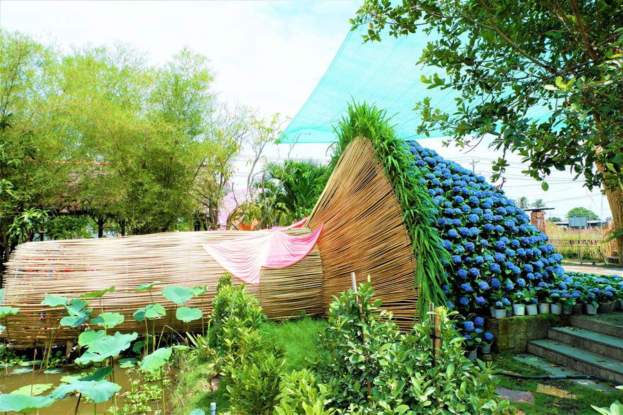 Bó hoa cẩm tú cầu khổng lồ đang được trưng bày trong khu du lịch Cúc mâm xôi ở làng hoa Sa Đéc ẢNH: MINH CHƠN