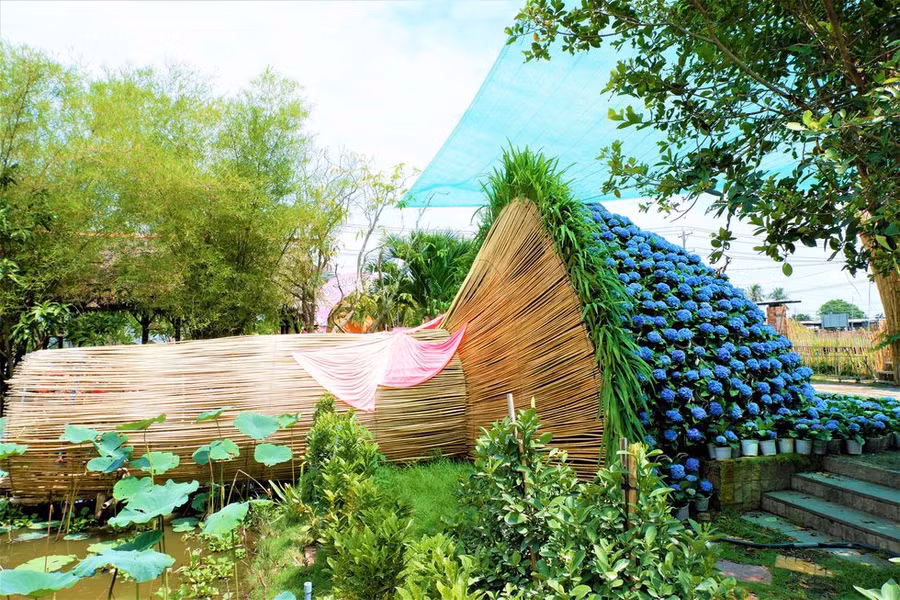 Bó hoa cẩm tú cầu khổng lồ đang được trưng bày trong khu du lịch Cúc mâm xôi ở làng hoa Sa Đéc ẢNH: MINH CHƠN