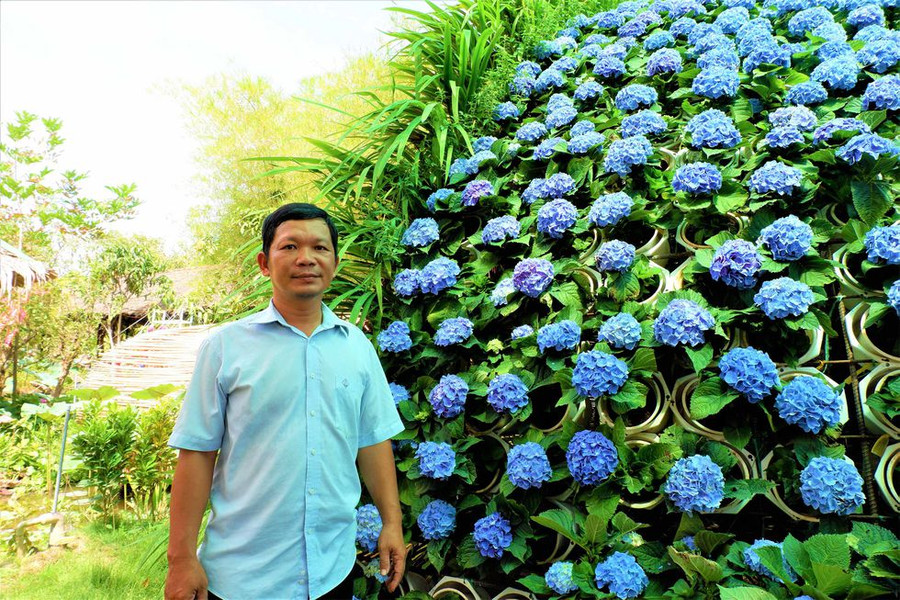 Anh Trần Anh Điền bên bó hoa cẩm tú cầu siêu khủng của mình ẢNH: MINH CHƠN