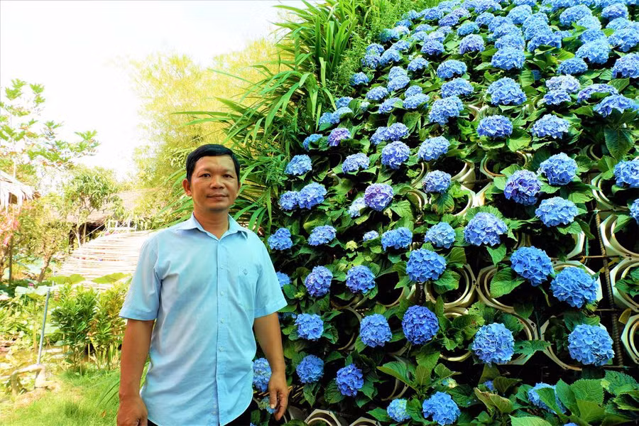 Anh Trần Anh Điền bên bó hoa cẩm tú cầu siêu khủng của mình ẢNH: MINH CHƠN