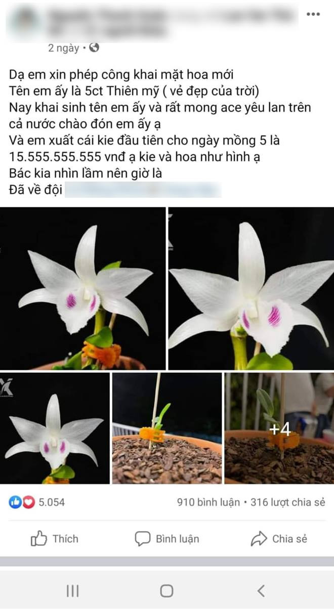 Xuất hiện dấu hiệu lừa đảo