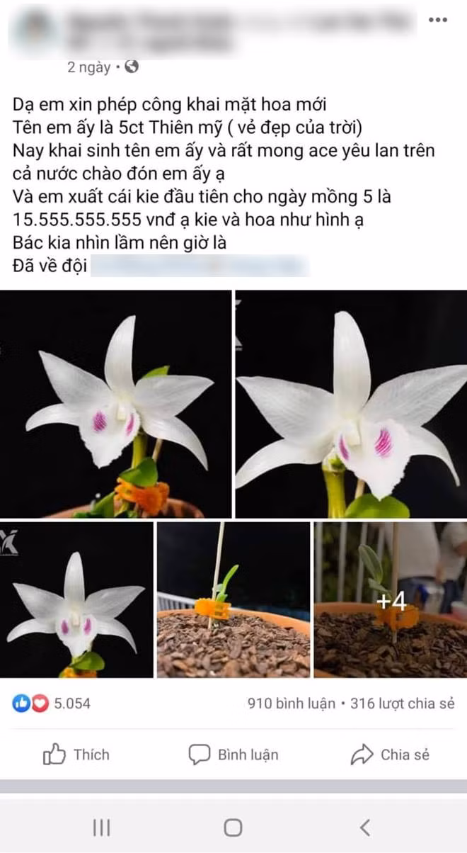 Xuất hiện dấu hiệu lừa đảo