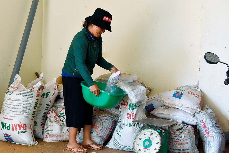 Chị H’Kưm cho hay: thông qua hội phụ nữ xã Nghĩa Hưng, tôi vay 50 triệu đồng để mua phân bón chăm sóc 2 ha cà phê, 1 sào rau màu, 1ha lúa và hơn 100 con gà vịt… sau mỗi năm trừ hết chi phí cho thu nhập trên 100 triệu đồng.