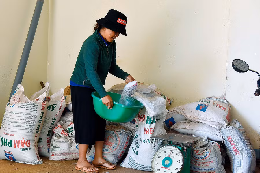 Chị H’Kưm cho hay: thông qua hội phụ nữ xã Nghĩa Hưng, tôi vay 50 triệu đồng để mua phân bón chăm sóc 2 ha cà phê, 1 sào rau màu, 1ha lúa và hơn 100 con gà vịt… sau mỗi năm trừ hết chi phí cho thu nhập trên 100 triệu đồng.