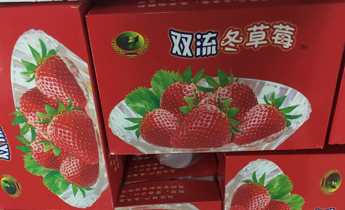 Bên trong các thùng xốp chứa dâu tây tươi, hộp giấy ngoài kèm hình ảnh và chữ Trung Quốc.