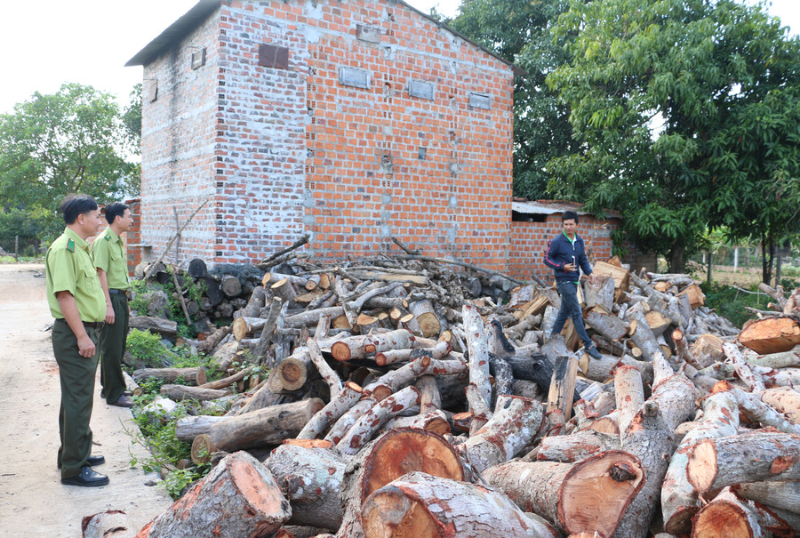 Than củi ép từ trấu sẽ làm thay đổi thói quen sử dụng củi gỗ làm chất đốt trong các lò sấy thuốc lá của người dân trên địa bàn. Ảnh: Vĩnh Hoàng