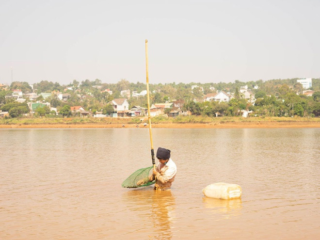 Người dân cào hến ở hồ trung tâm TP.Gia Nghĩa. ẢNH: THANH QUÂN