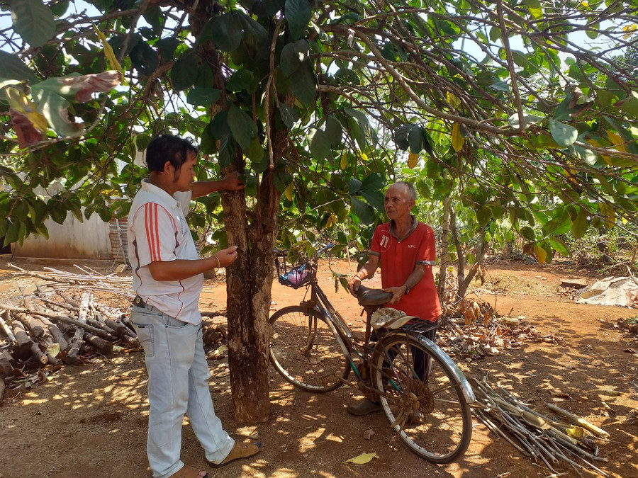 Ông Ksor Chôi (bên phải) trình bày với Trưởng thôn Breng 2 về việc đất của gia đình chưa được trả lại. Ảnh: Nhật Hào Ông Ksor Chôi (bên phải) trình bày với trưởng thôn Breng 2 về việc đất của gia đình chưa được trả lại. Ảnh: Nhật Hào