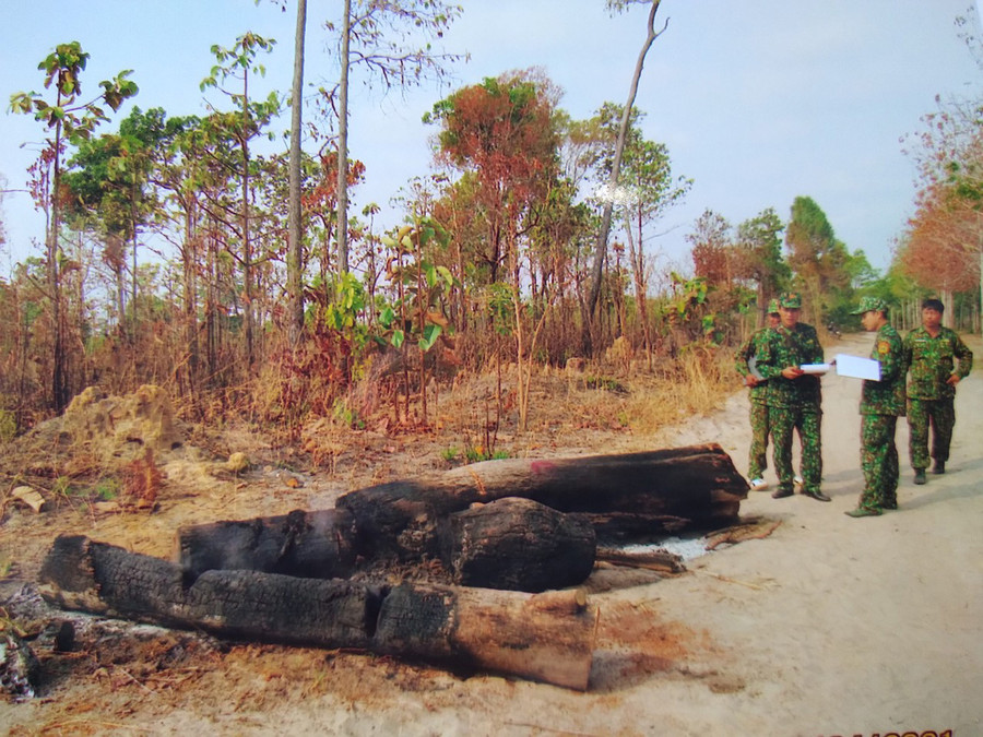 Lực lượng chức năng kiểm tra hiện trường vụ phá rừng. Ảnh: Lê Anh Lực lượng chức năng kiểm tra hiện trường. Ảnh: Lê Anh