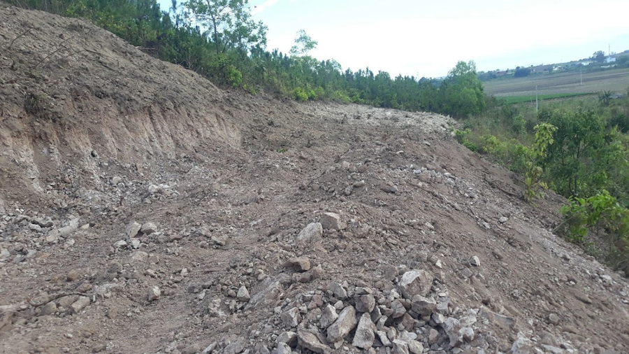 Đất rừng tại TK 298C, TT.Liên Nghĩa bị san ủi trái phép. ẢNH: LÂM VIÊN