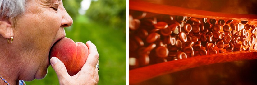 Quả đào là loại trái cây rất tốt cho sức khỏe. Đồ họa: Hồng Nhật