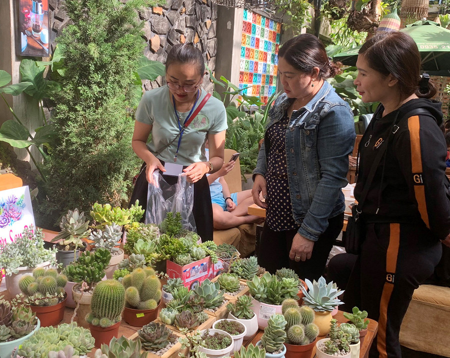 Tại chương trình, người dân được tư vấn cách trồng và chăm sóc sen đá, xương rồng. Ảnh: Phương Linh Tại chương trình, người dân được tư vấn cách trồng và chăm sóc sen đá, xương rồng. Ảnh: Phương Linh