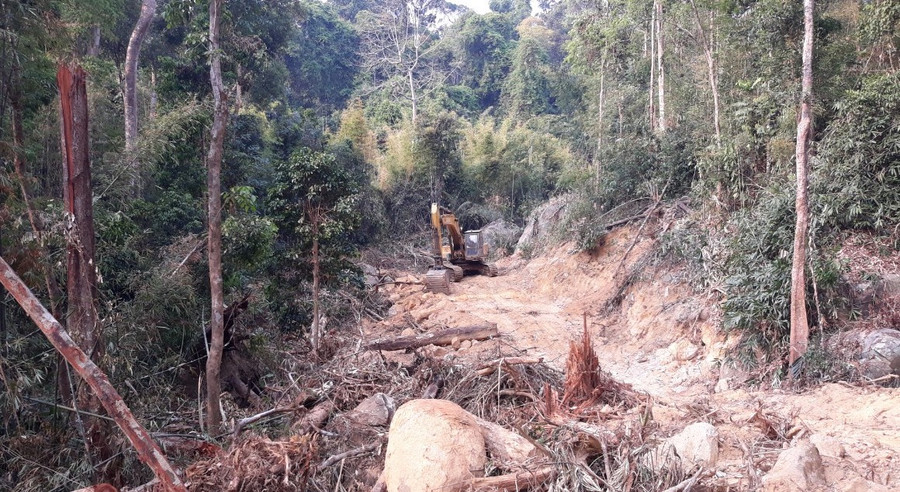 Con đường được mở trong rừng xanh phục vụ công trình