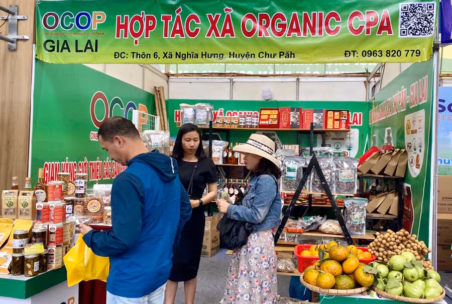 HTX đã chủ động tham gia tạo gian hàng trên sàn giao dịch TMĐT lớn và xây dựng website nhằm quảng bá sản phẩm, xây dựng hình ảnh. Ảnh: Vũ Thảo