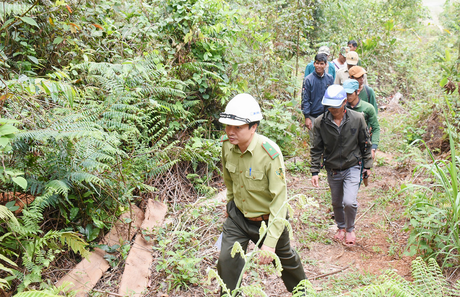 Kiểm lâm địa bàn cùng với Tổ bảo vệ rừng của làng Kon Ktonh đi tuần tra khu vực rừng nhận khoán. Ảnh: Minh Phương