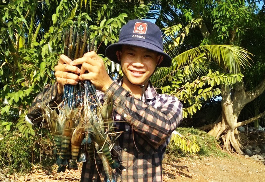 Thành đã nuôi thành công tôm càng xanh, trở thành người đầu tiên đưa loài thủy sản này lên Tây Nguyên.