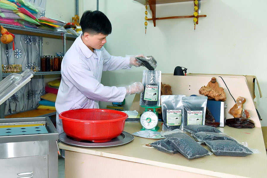 7.Dù đã đầu tư máy móc và xuất bán sản phẩm đi đến thị trường trong nước nhưng khi được trở thành sản phẩm OCOP, HTX hạt giấy mới thấy rõ sự khác biệt trong sản xuất kinh doanh. Anh Hiệp nói.