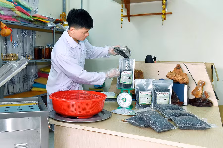 7.Dù đã đầu tư máy móc và xuất bán sản phẩm đi đến thị trường trong nước nhưng khi được trở thành sản phẩm OCOP, HTX hạt giấy mới thấy rõ sự khác biệt trong sản xuất kinh doanh. Anh Hiệp nói.