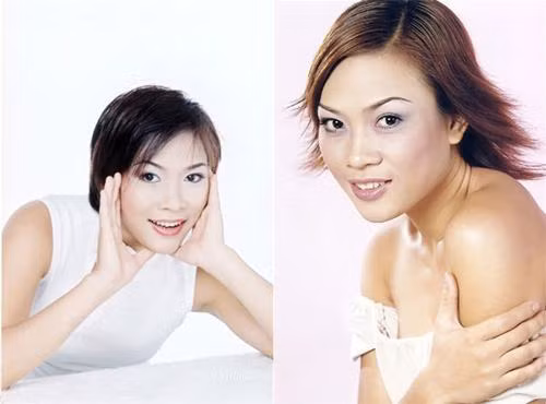 Sự thăng hạng nhan sắc đi liền với thành công giúp Mỹ Tâm đã thu về nhiều hợp đồng quảng cáo thời bấy giờ.