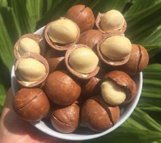 Ngoài vị mặn dễ chịu, hạt mắc ca muối còn chứa nhiều chất dinh dưỡng tốt cho sức khoẻ. Ảnh: H.M