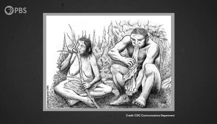 Bản phác thảo về cách tổ tiên của chúng ta đã sử dụng “bàn tay thứ ba” - răng của họ. Ảnh chụp màn hình PBS