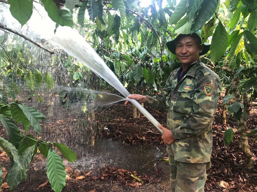 Ông Phạm Ngọc Cường( thôn Hòa Bình) đang tưới đuổi đợt 3 cho cây cà phê