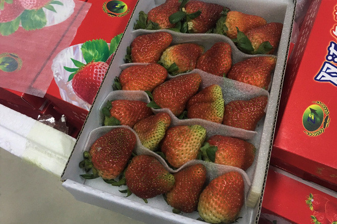 Dâu tây tươi phát hiện và thu giữ tại Cảng hàng không Liên Khương (Đức Trọng, Lâm Đồng).