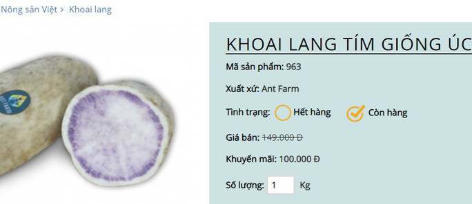 Khoai lang tím giảm giá sâu vẫn còn giá 100.000 đồng/kg Khoai lang tím giảm giá sâu vẫn còn giá 100.000 đồng/kg