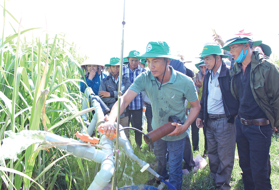 Công ty TTC Gia Lai tổ chức cho nông dân tham quan học tập mô hình tưới nước, bón phân qua hệ thống tưới nhỏ giọt. Ảnh: Nguyễn Diệp  Công ty TTC Gia Lai tổ chức cho nông dân tham quan học tập mô hình tưới nước, bón phân qua hệ thống tưới nhỏ giọt. Ảnh: Nguyễn Diệp