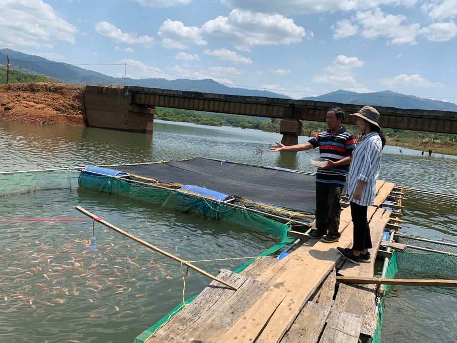 Nuôi cá lồng bè trên dòng Pô Cô là mô hình kinh tế triển vọng cho bà con dân tộc thiểu số. Ảnh: Phương Vi Nuôi cá lồng bè trên dòng Pô Cô là mô hình kinh tế triển vọng cho bà con dân tộc thiểu số. Ảnh: Phương Vi