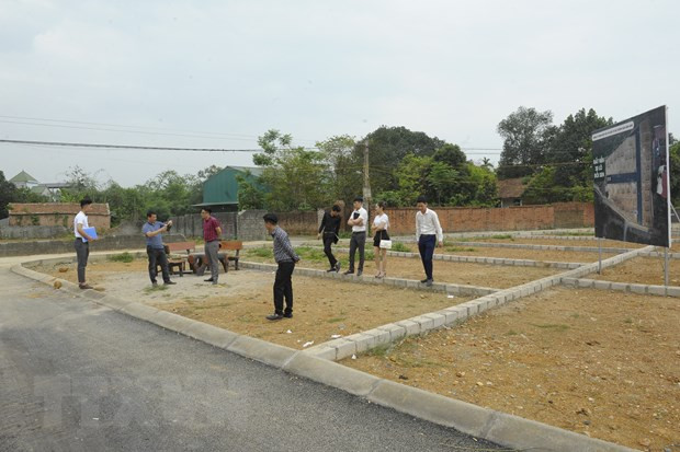 Dù là ngày làm việc nhưng nhiều người tìm đến các khu phân lô trên địa bàn huyện Thạch Thất để xem mua đất. (Ảnh: Mạnh Khánh/TTXVN)