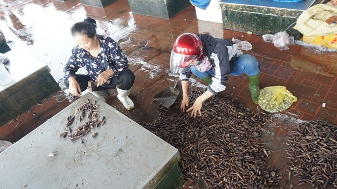 Để có được 40.000 đồng, bà Dậu phải chặt 2 yến trôn ốc.