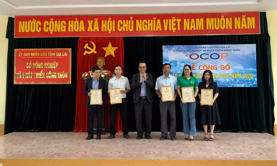 Lãnh đạo Sở Nông nghiệp và PTNT trao chứng nhận đạt 4 sao OCOP Gia Lai cho các chủ thể