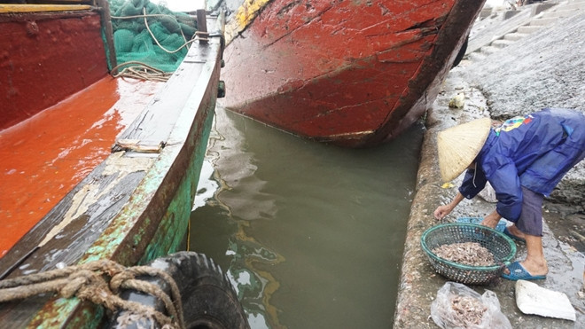 Để mót cá, những người già ở đây phải dậy từ 4 giờ sáng.